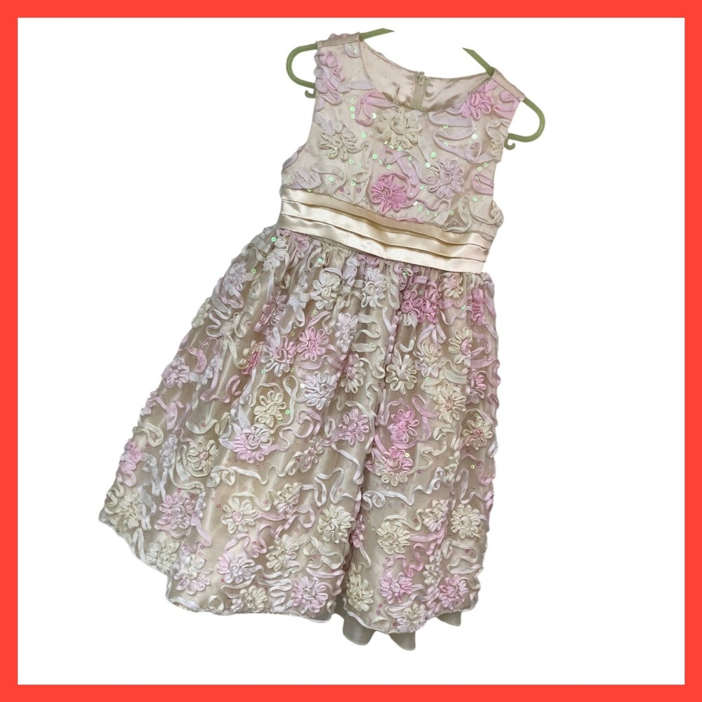 Princess Cinderella Formal Dress 3D Floral Sequins Satin Pink Ivory Girls 4T 5T